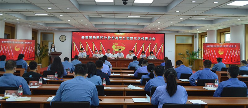 2共青团乐凯胶片第三次代表大会胜利召开2022.6.6_副本_副本.jpg